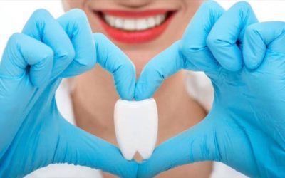 ¿Qué tipos de dientes hay?